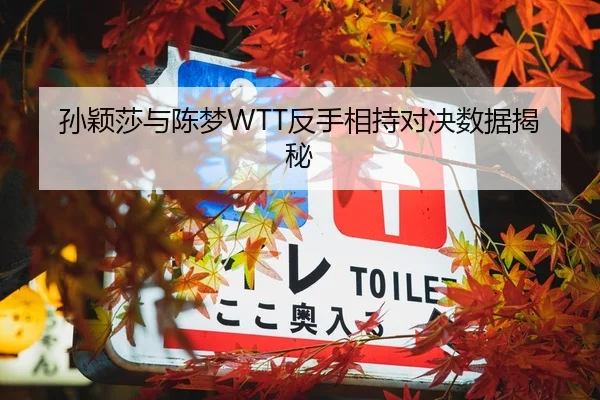 孙颖莎与陈梦WTT反手相持对决数据揭秘