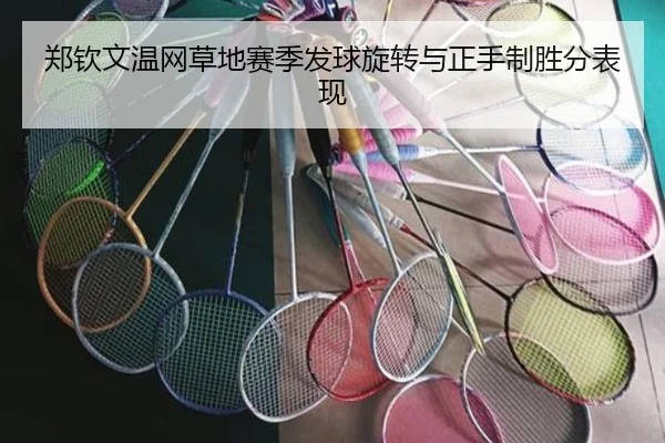 郑钦文温网草地赛季发球旋转与正手制胜分表现