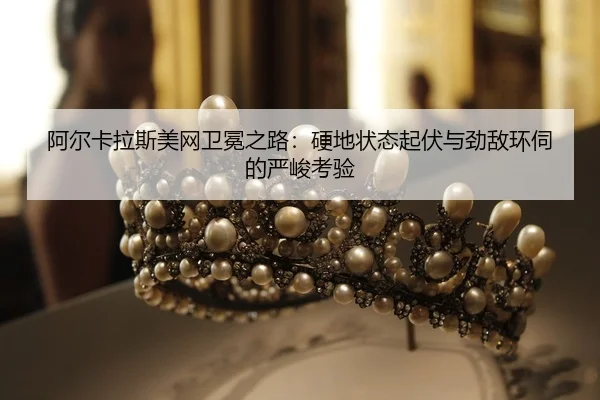 a-er-ka-la-si-mei-wang-wei-mian-zhi-lu-ying-di-zhuang-tai-qi-fu-yu-jing-di-huan-si-de-yan-jun-kao-yan-2-703.jpg