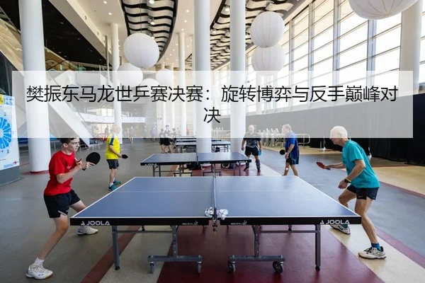 樊振东马龙世乒赛决赛：旋转博弈与反手巅峰对决